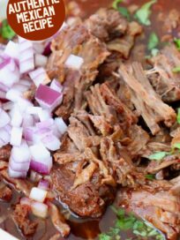 shredded beef in birria broth in a bowl topped with diced onions