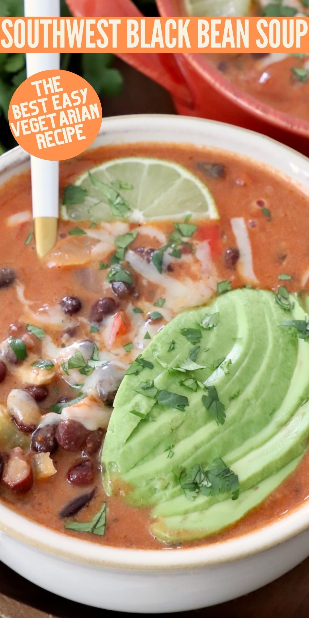 Easy Black Bean Soup Recipe