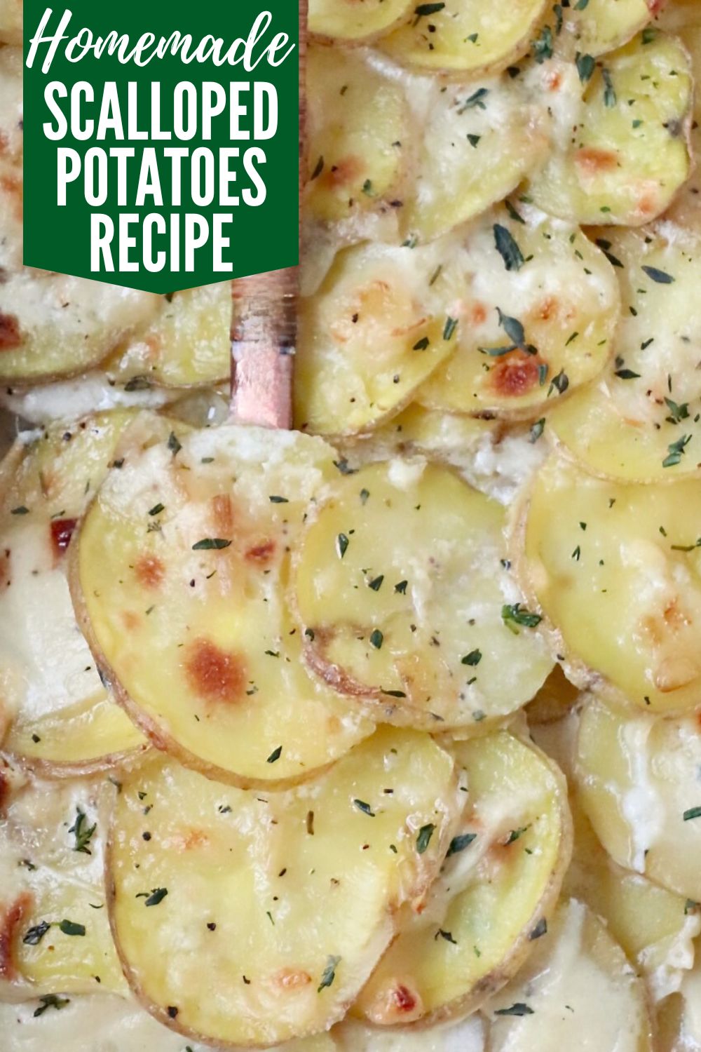 Scalloped Potatoes Recipe