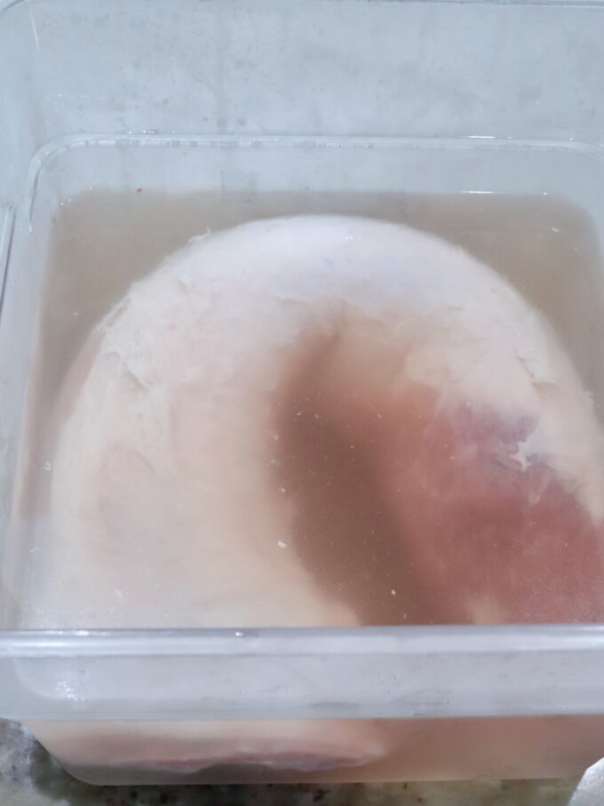 pork loin in salt brine in large plastic tub