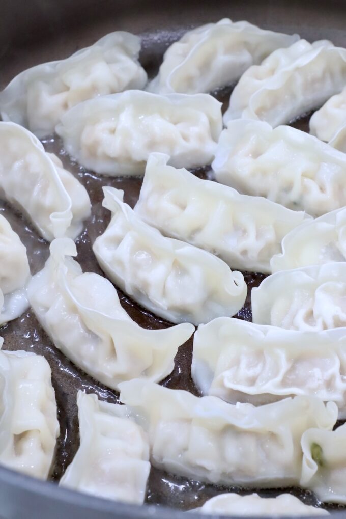 frozen gyoza in pan on the stove