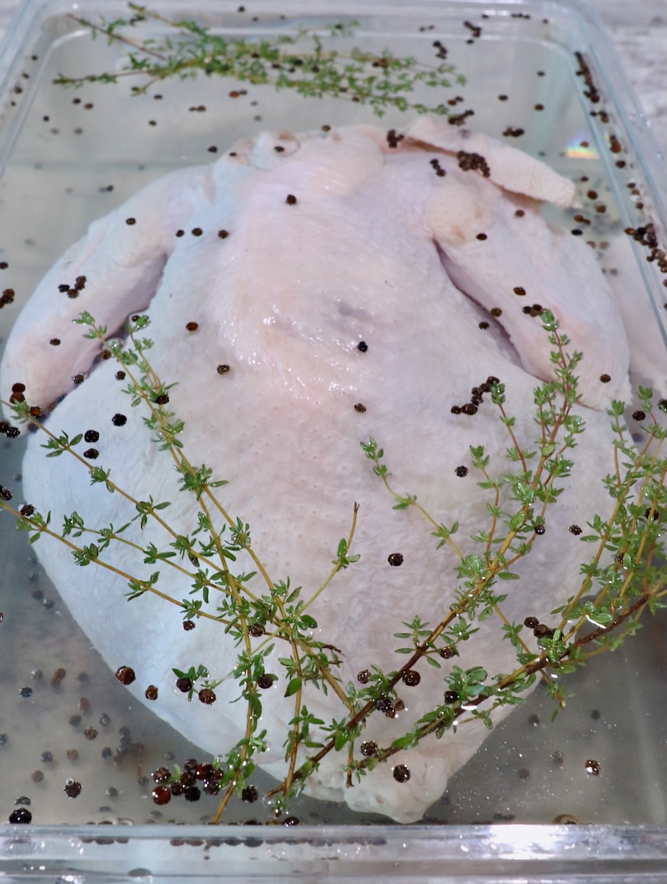 whole turkey in a plastic tub in a brine