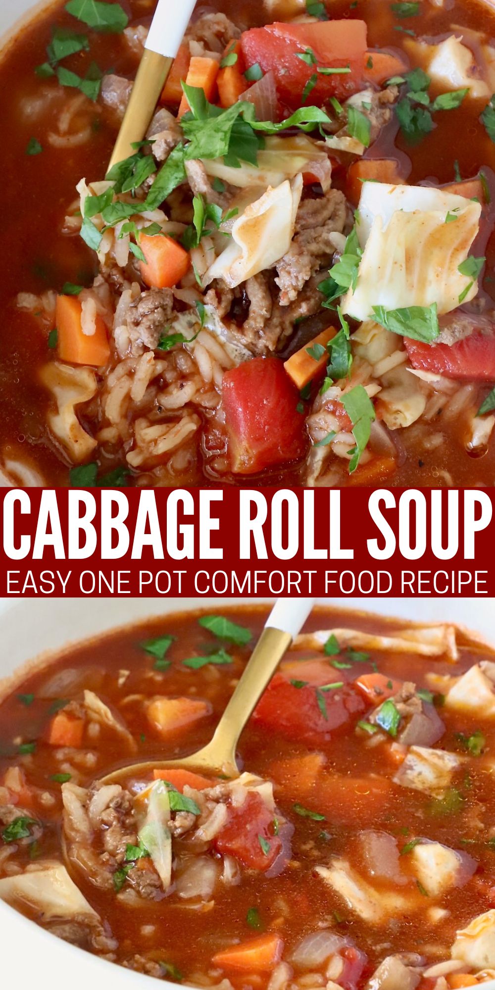 Cabbage Roll Soup Recipe
