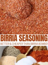 birria seasoning in a bowl with a spoon